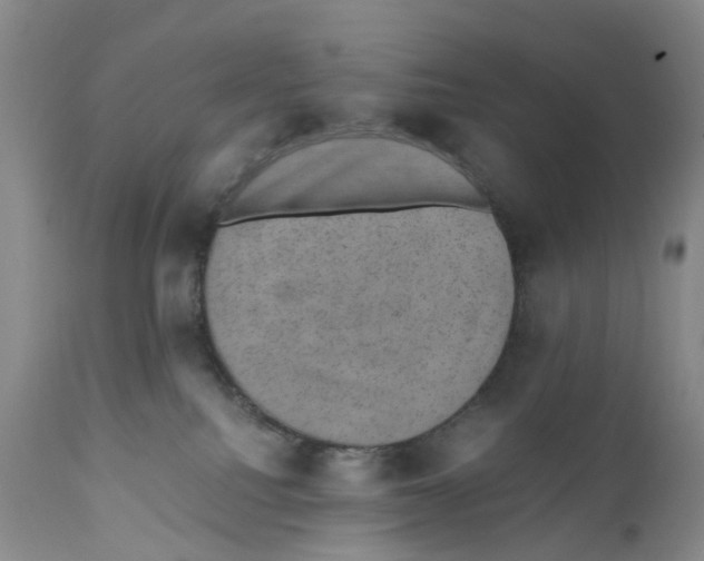 X0000110890088200907161537