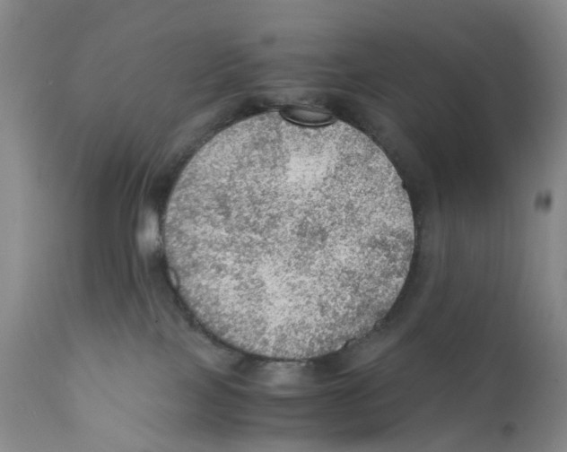 X0000110890089200907161537
