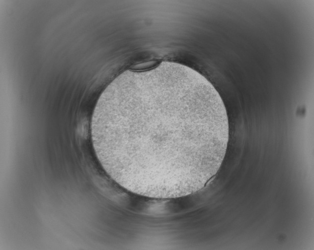 X0000110890090200907161537
