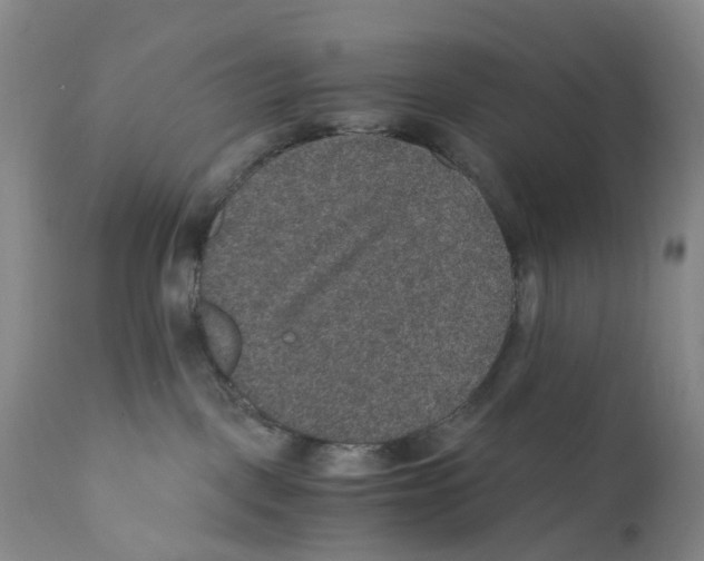 X0000110890093200907161537