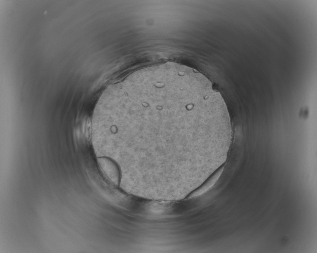 X0000110890094200907161537