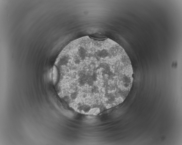 X0000110890095200907161537