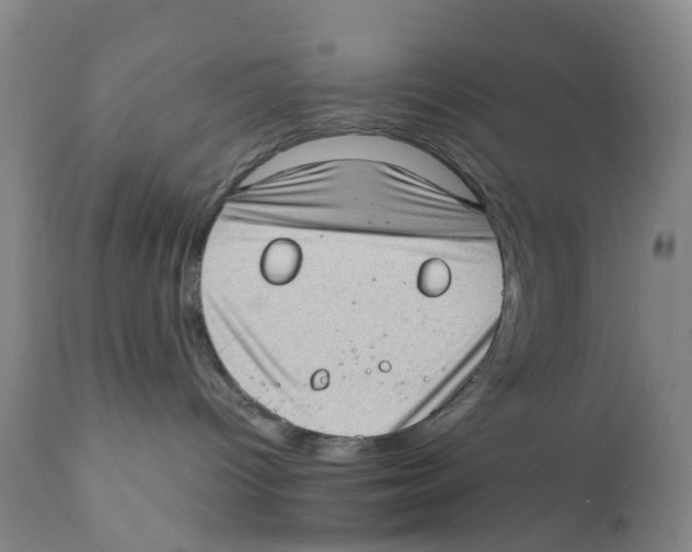 X0000110890096200907161537
