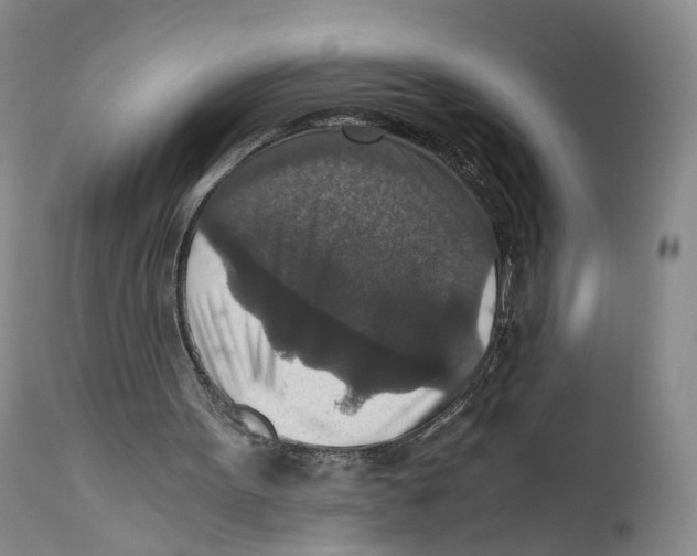 X0000110890099200907161536
