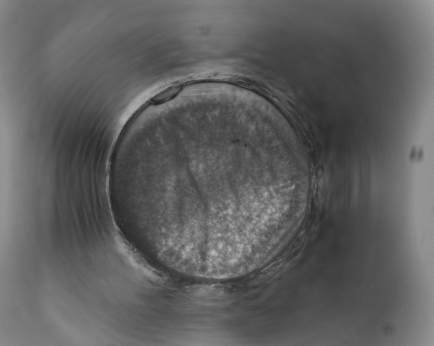 X0000110890100200907161536