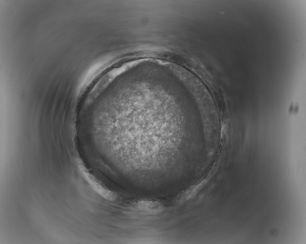 X0000110890101200907161536