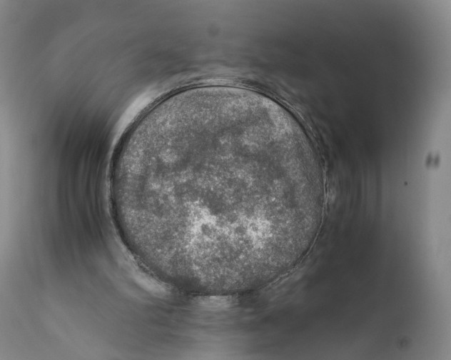 X0000110890102200907161536