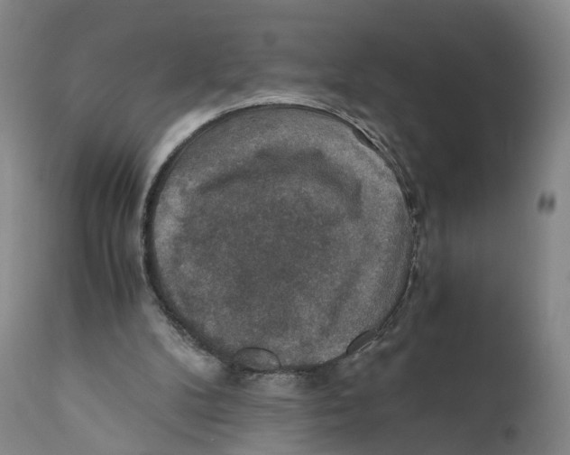 X0000110890104200907161536