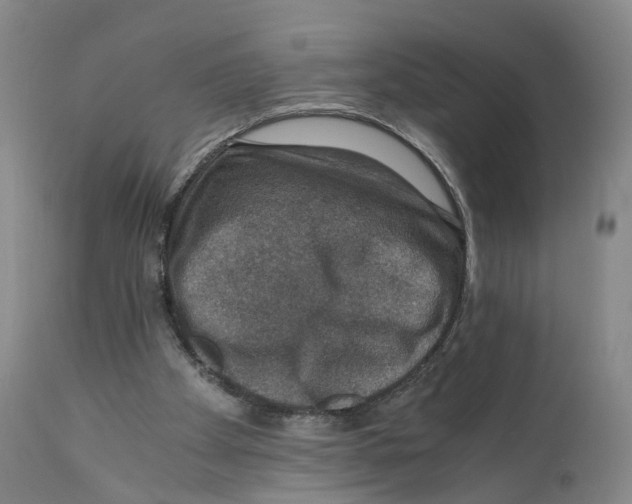 X0000110890105200907161536