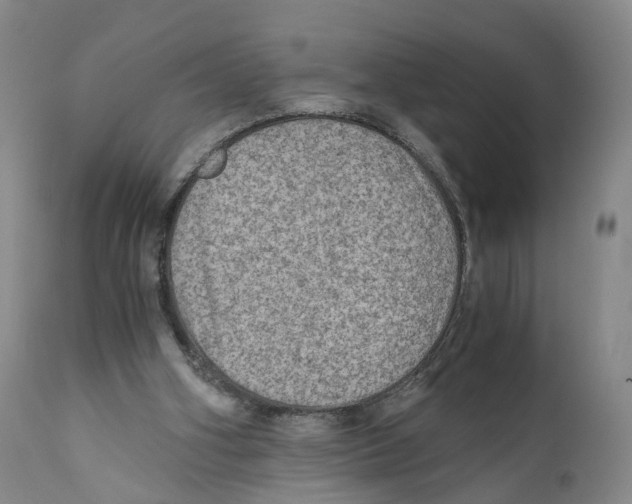X0000110890106200907161536