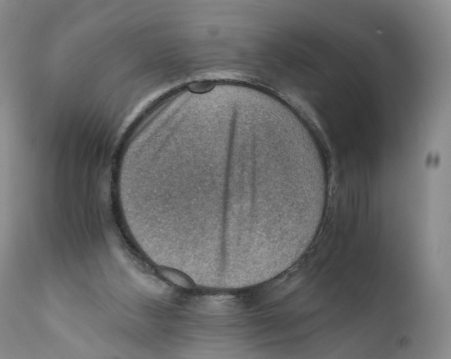 X0000110890108200907161536