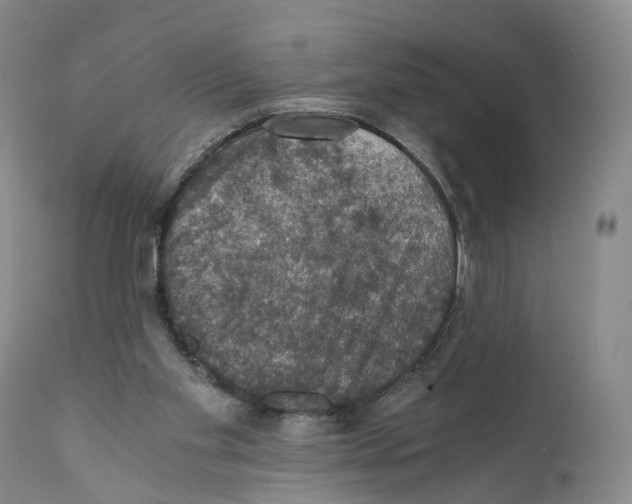 X0000110890109200907161536
