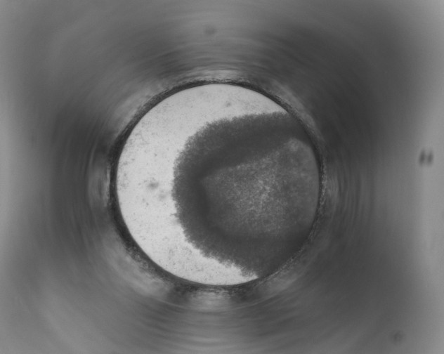 X0000110890110200907161536