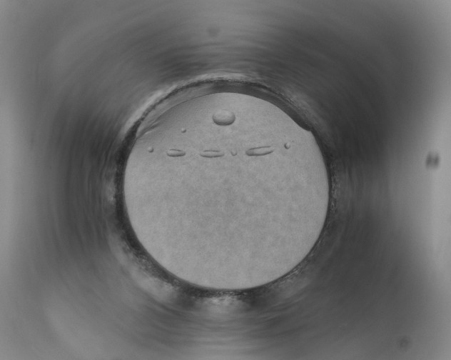 X0000110890112200907161536