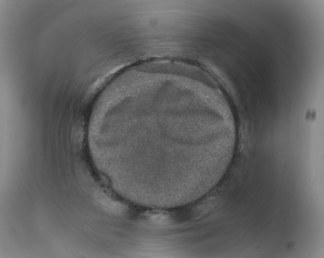 X0000110890113200907161536