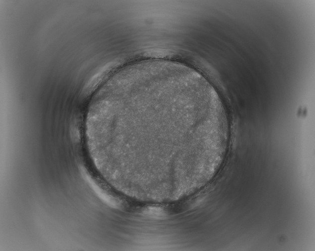 X0000110890114200907161536