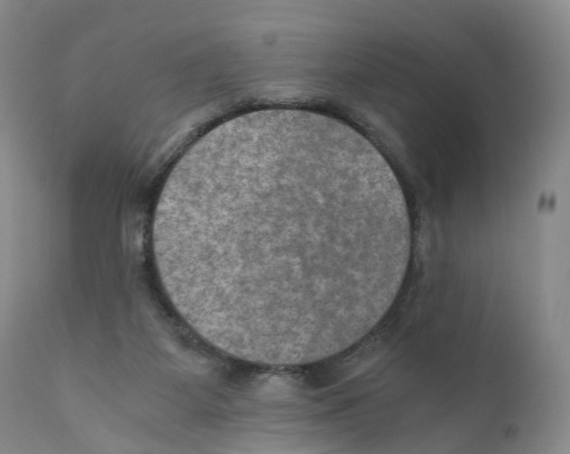 X0000110890115200907161536