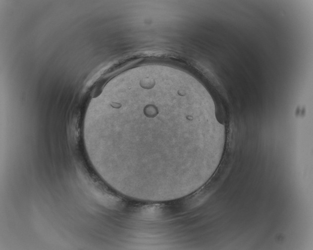 X0000110890116200907161536