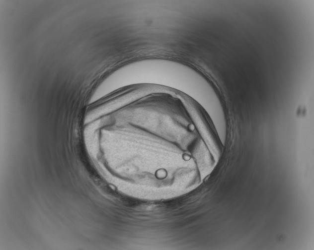 X0000110890117200907161536