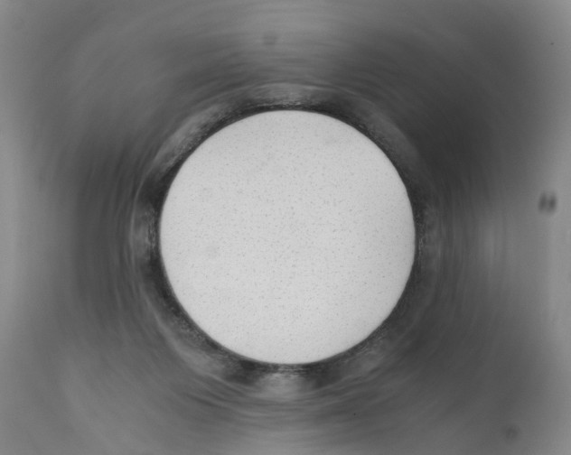 X0000110890119200907161535