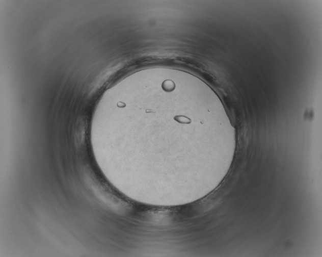 X0000110890120200907161535