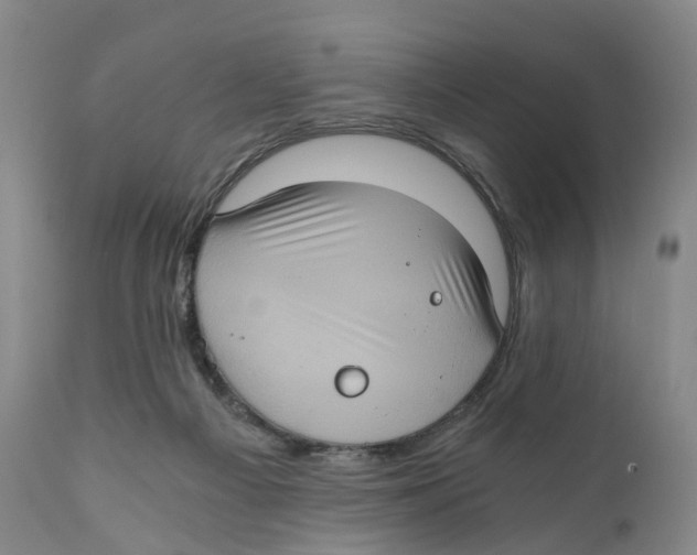 X0000110890121200907161535