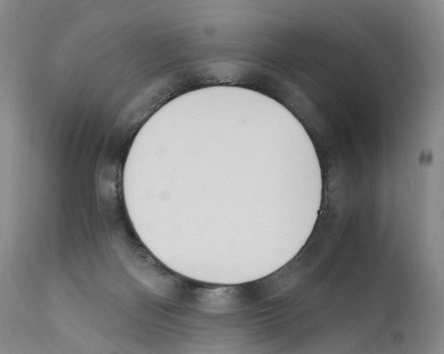 X0000110890122200907161535