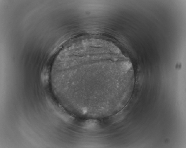X0000110890124200907161535