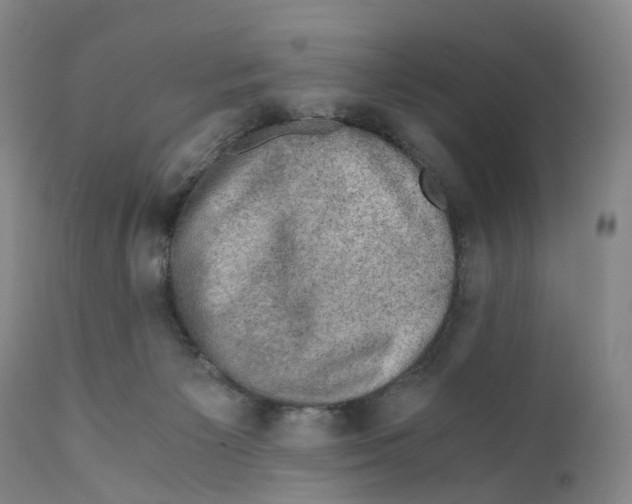 X0000110890125200907161535