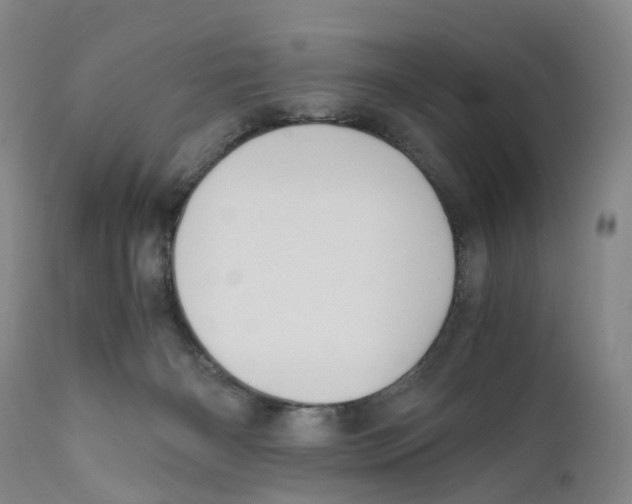 X0000110890126200907161535