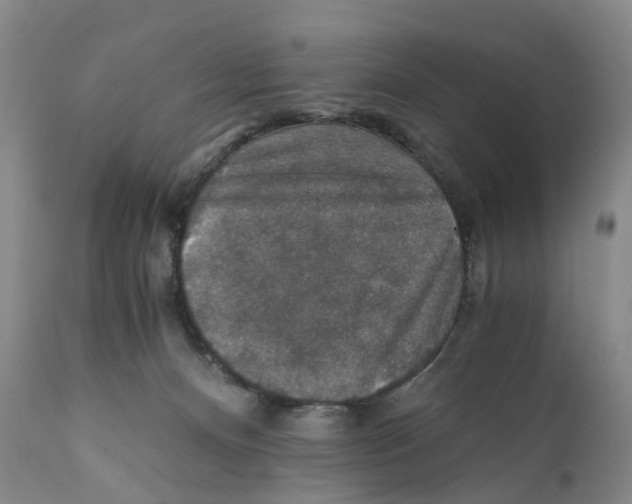 X0000110890128200907161535