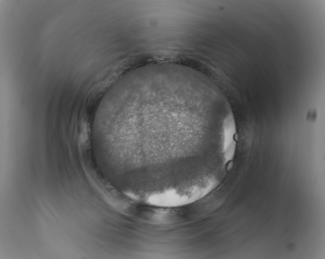 X0000110890130200907161535