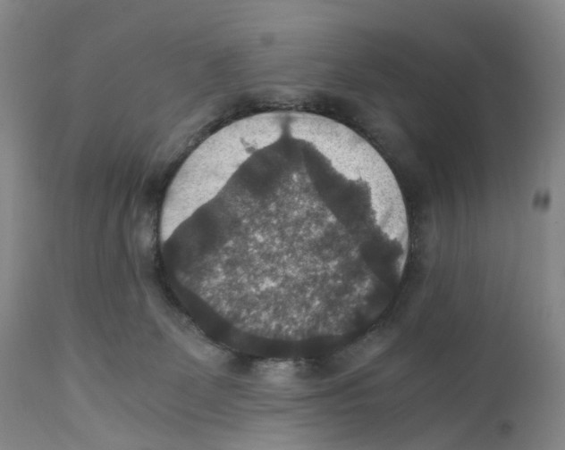 X0000110890131200907161535