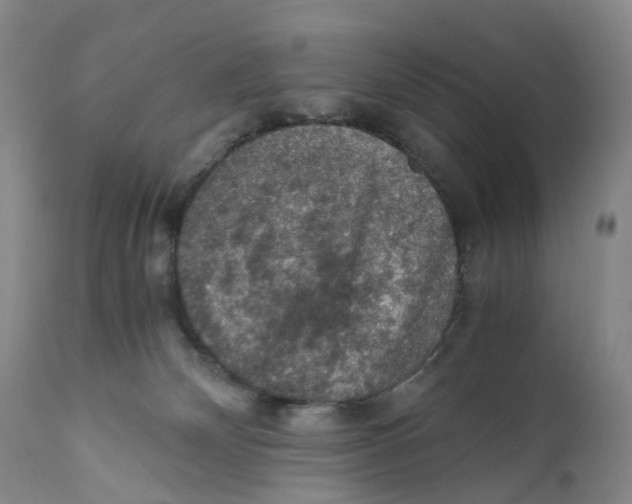 X0000110890132200907161535