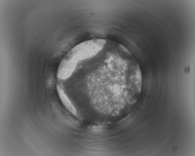 X0000110890134200907161535