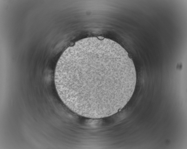 X0000110890135200907161535