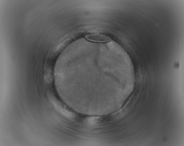 X0000110890136200907161535