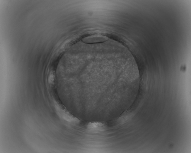 X0000110890137200907161535
