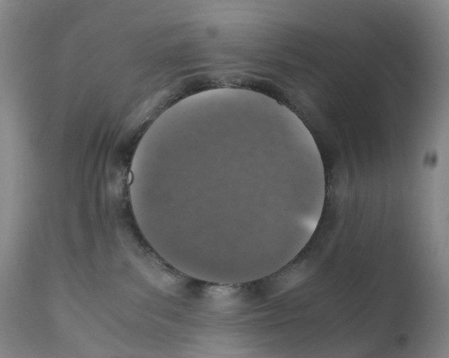 X0000110890139200907161535
