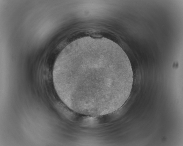 X0000110890140200907161535