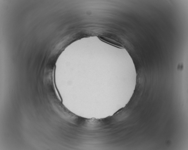 X0000110890141200907161535