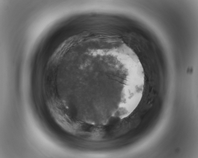X0000110890143200907161535