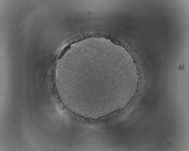 X0000110890144200907161535