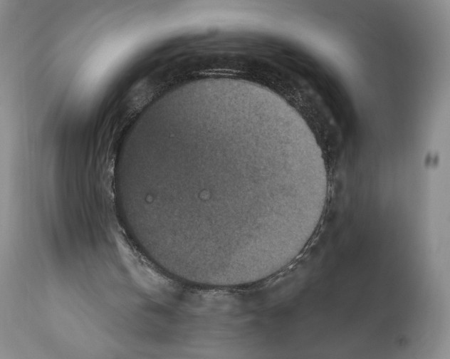 X0000110890146200907161534