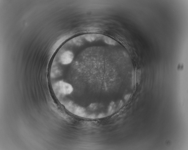 X0000110890147200907161534