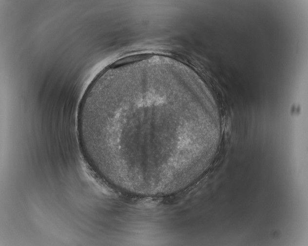 X0000110890148200907161534
