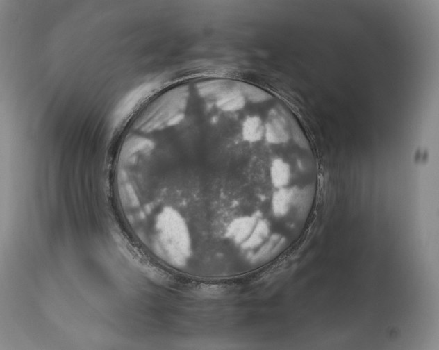 X0000110890149200907161534