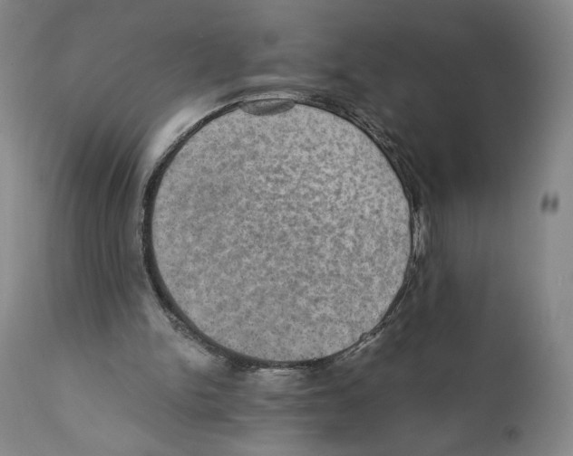 X0000110890150200907161534