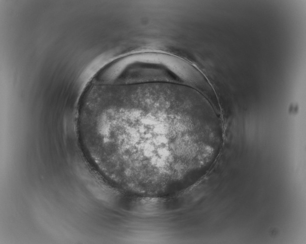 X0000110890152200907161534