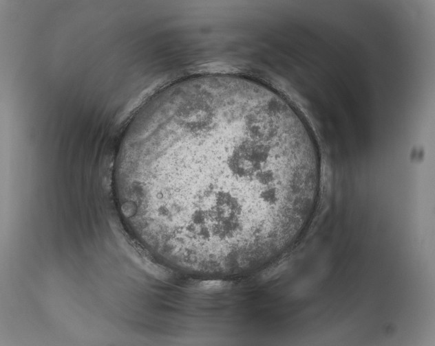 X0000110890153200907161534